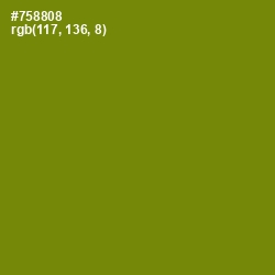 #758808 - Trendy Green Color Image