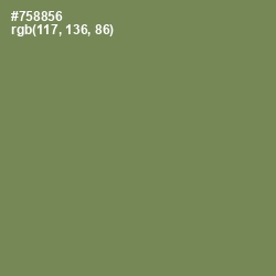 #758856 - Glade Green Color Image