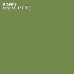 #75894F - Glade Green Color Image