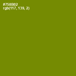 #758B02 - Limeade Color Image