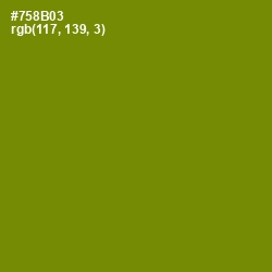 #758B03 - Limeade Color Image