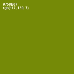 #758B07 - Limeade Color Image