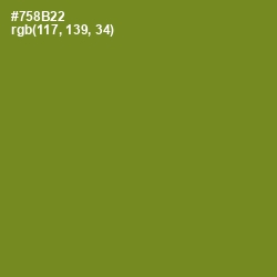 #758B22 - Wasabi Color Image