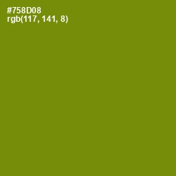 #758D08 - Limeade Color Image