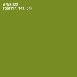 #758D22 - Wasabi Color Image
