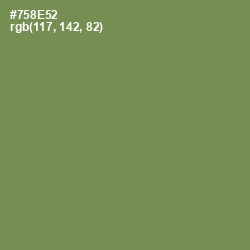 #758E52 - Glade Green Color Image