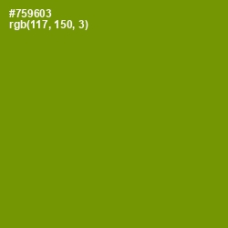 #759603 - Limeade Color Image