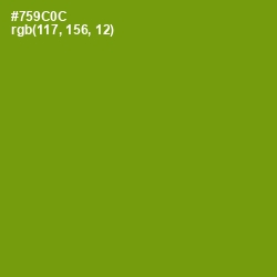 #759C0C - Limeade Color Image