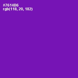 #7614B6 - Purple Color Image