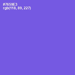 #7659E3 - Blue Marguerite Color Image
