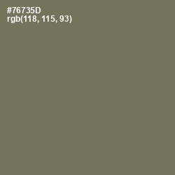 #76735D - Crocodile Color Image