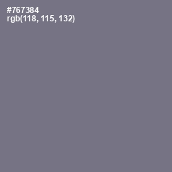 #767384 - Storm Gray Color Image