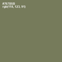 #767B5B - Crocodile Color Image