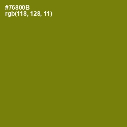 #76800B - Trendy Green Color Image