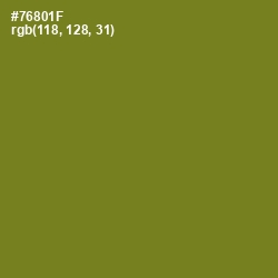 #76801F - Trendy Green Color Image