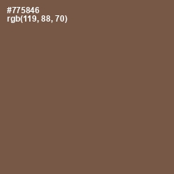 #775846 - Tobacco Brown Color Image