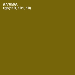 #77650A - Spicy Mustard Color Image