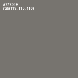 #77736E - Limed Ash Color Image