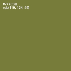 #777C3B - Pesto Color Image