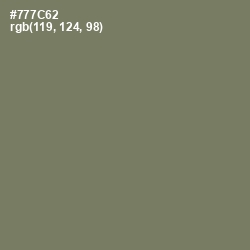 #777C62 - Limed Ash Color Image