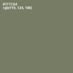 #777C64 - Limed Ash Color Image