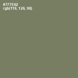 #777E62 - Limed Ash Color Image