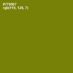 #778007 - Trendy Green Color Image