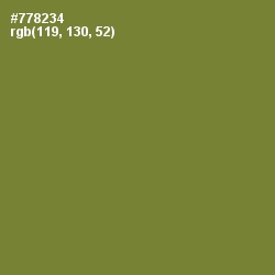 #778234 - Wasabi Color Image