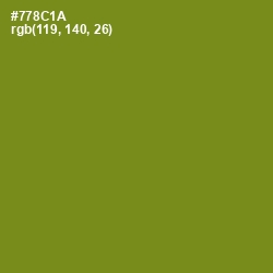 #778C1A - Trendy Green Color Image