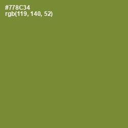 #778C34 - Wasabi Color Image