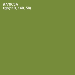 #778C3A - Wasabi Color Image