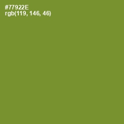 #77922E - Wasabi Color Image