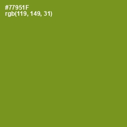#77951F - Trendy Green Color Image