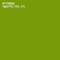 #779B0B - Limeade Color Image