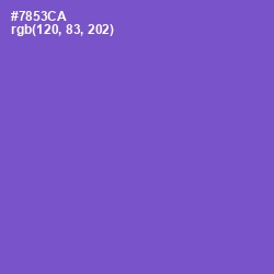 #7853CA - Fuchsia Blue Color Image