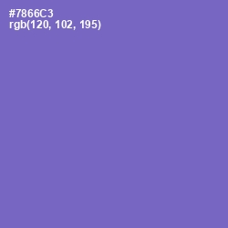 #7866C3 - Blue Marguerite Color Image