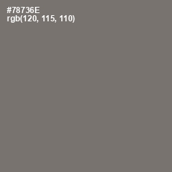 #78736E - Limed Ash Color Image