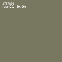 #787860 - Limed Ash Color Image