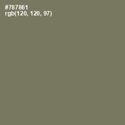 #787861 - Limed Ash Color Image