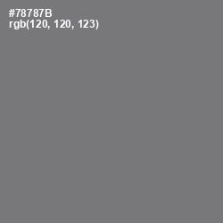 #78787B - Boulder Color Image