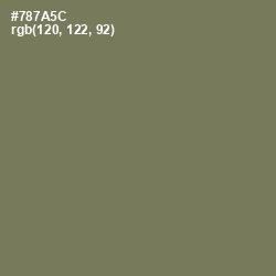 #787A5C - Crocodile Color Image