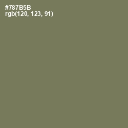 #787B5B - Crocodile Color Image