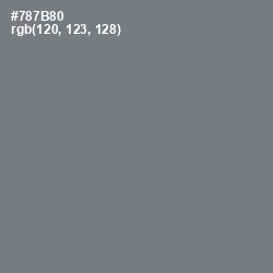 #787B80 - Jumbo Color Image