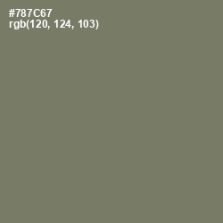 #787C67 - Limed Ash Color Image