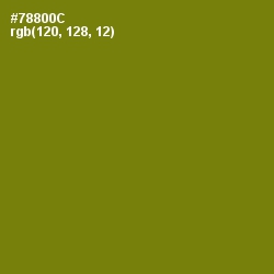#78800C - Trendy Green Color Image