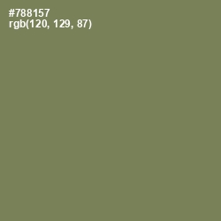 #788157 - Glade Green Color Image