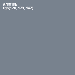 #78818E - Blue Smoke Color Image