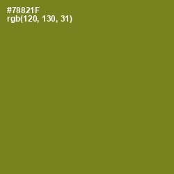 #78821F - Trendy Green Color Image