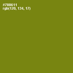 #788611 - Trendy Green Color Image