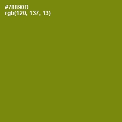 #78890D - Trendy Green Color Image
